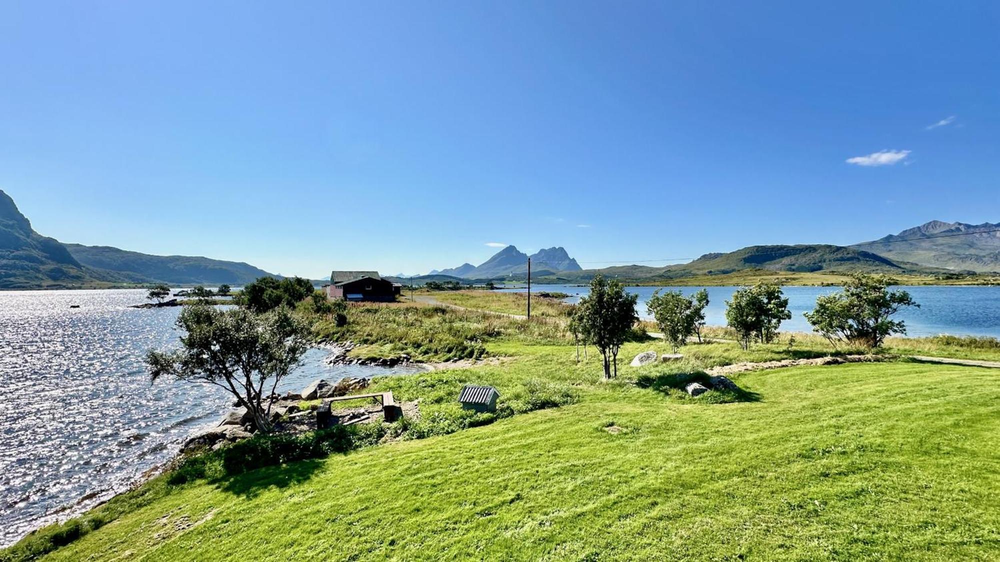 Lofoten Wildlife Panorama