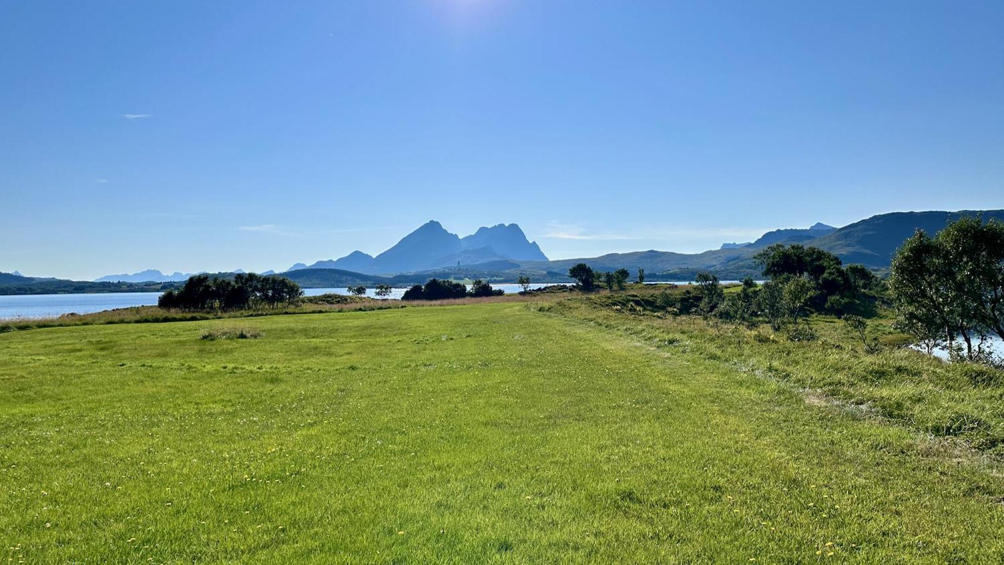 Ferienhaus Lofoten Wildlife Panorama