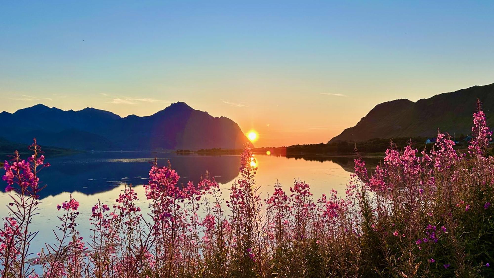 Ferienhaus Lofoten Wildlife Panorama Bostad
