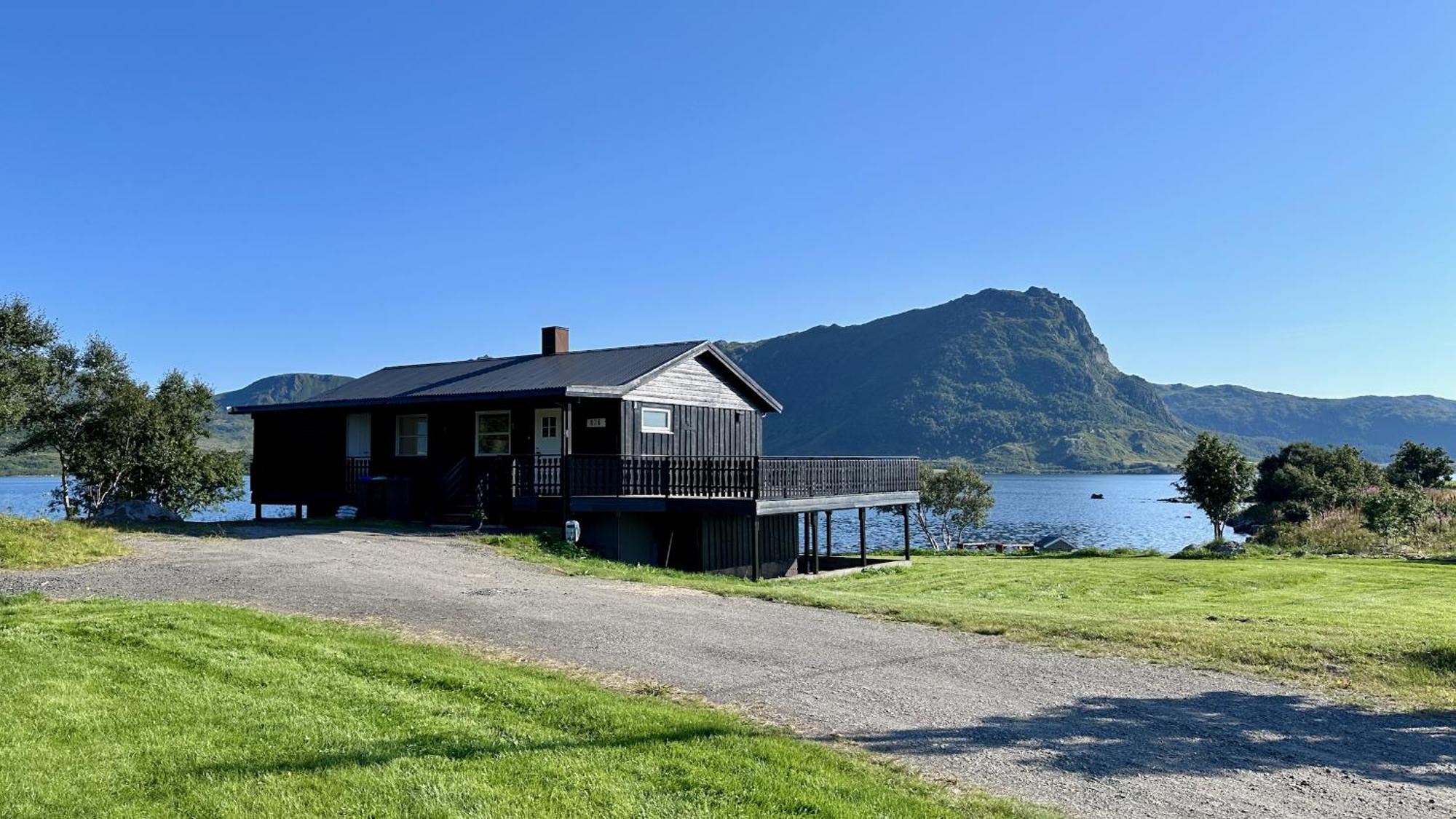 Lofoten Wildlife Panorama *