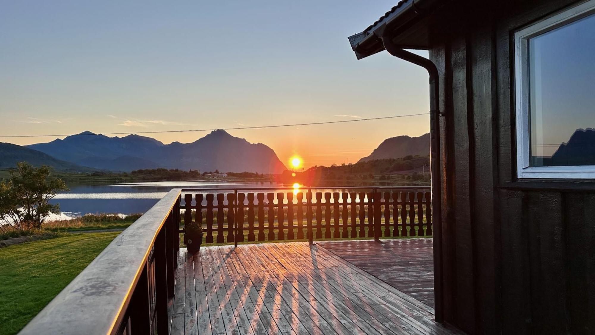 Lofoten Wildlife Panorama *