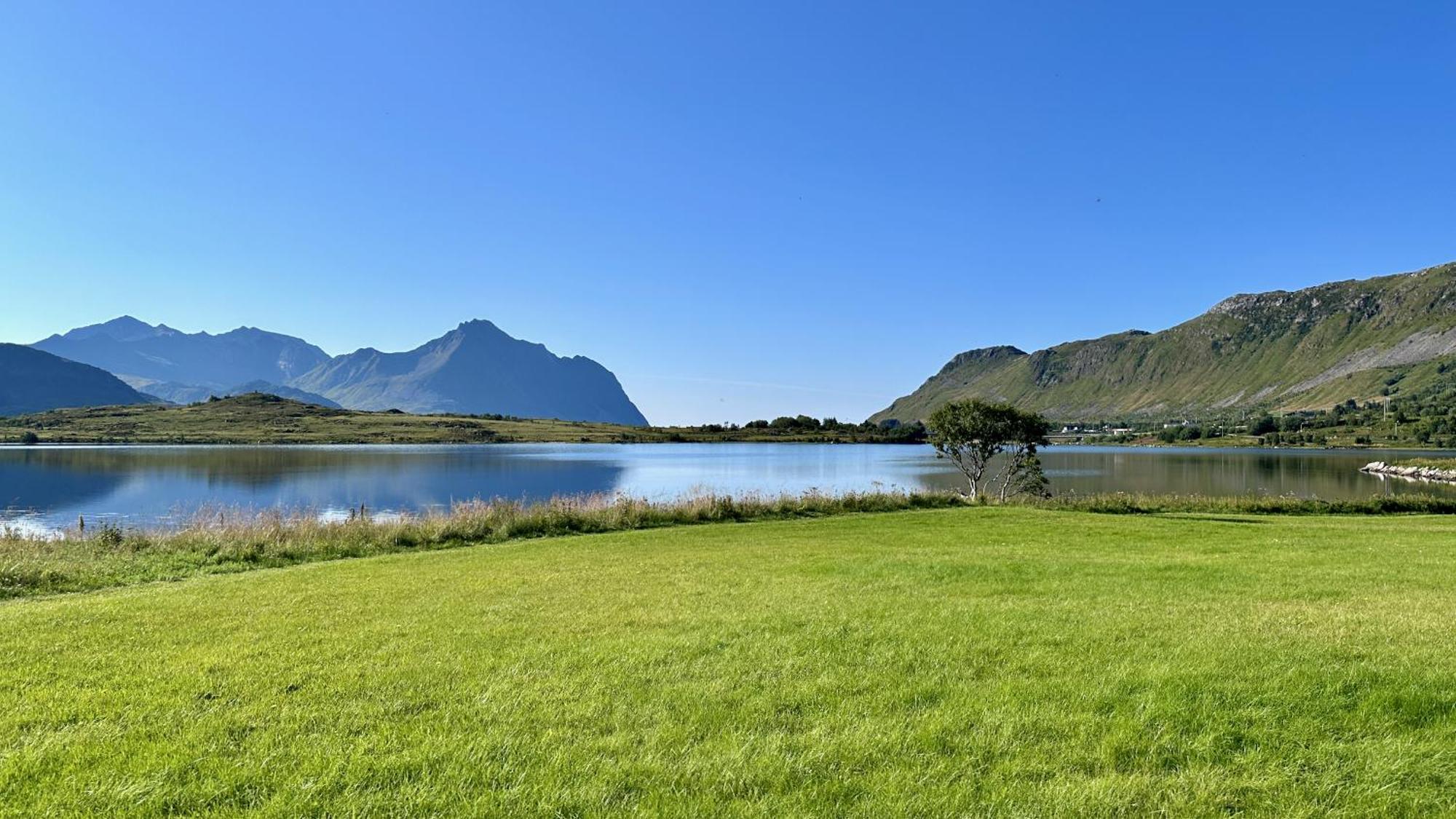 Feriehus Lofoten Wildlife Panorama *